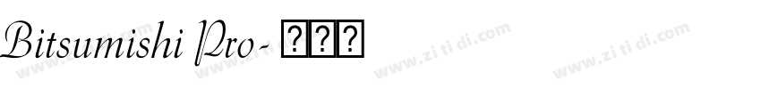 Bitsumishi Pro字体转换